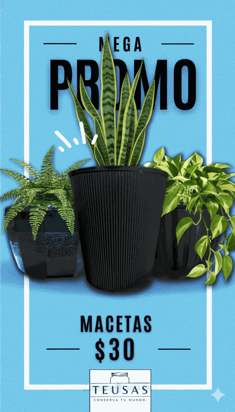 Imagen de la diapositiva