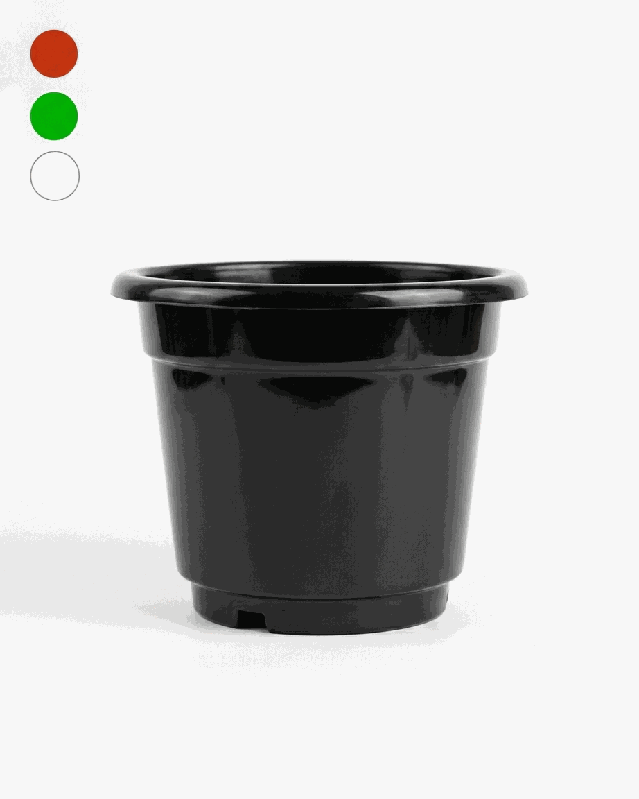 Odoo - Prueba 1 a tres columnas